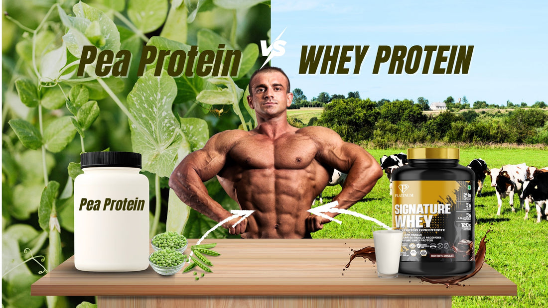 Pea Protein vs Whey Protein: Which Is Better for You?